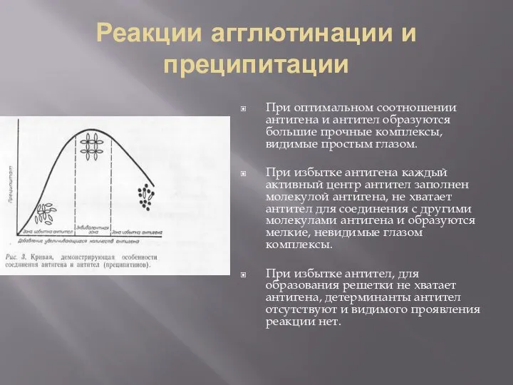 Реакции агглютинации и преципитации При оптимальном соотношении антигена и антител образуются