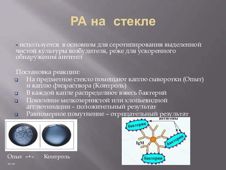 РА на стекле - используется в основном для серотипирования выделенной чистой