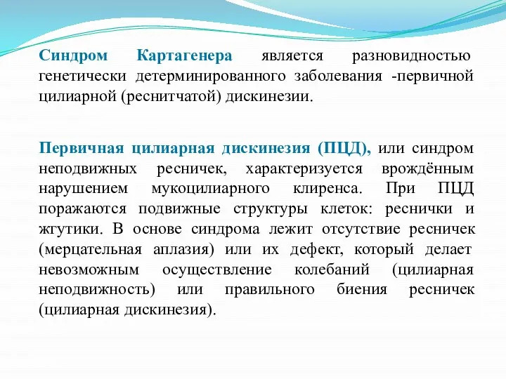 Синдром Картагенера является разновидностью генетически детерминированного заболевания -первичной цилиарной (реснитчатой) дискинезии.