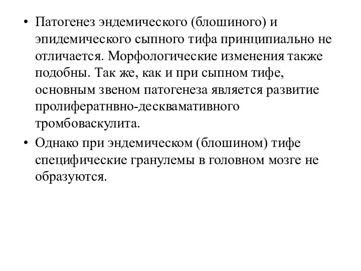 Патогенез эндемического (блошиного) и эпидемического сыпного тифа принципиально не отличается. Морфологические