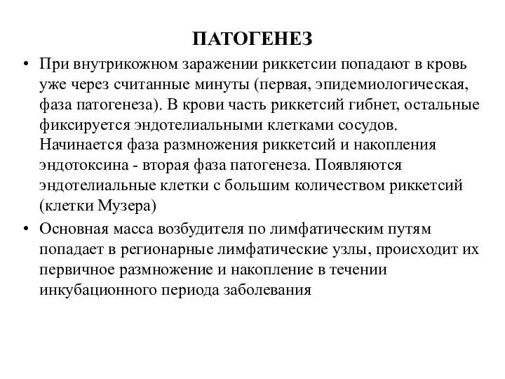 ПАТОГЕНЕЗ При внутрикожном заражении риккетсии попадают в кровь уже через считанные