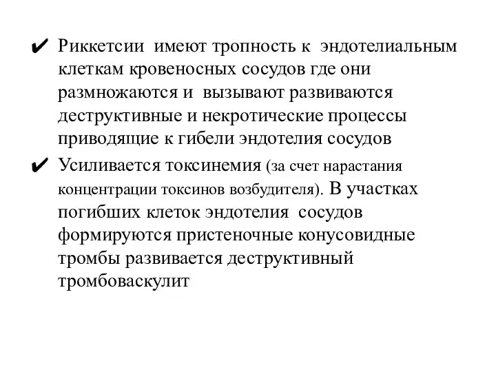 Риккетсии имеют тропность к эндотелиальным клеткам кровеносных сосудов где они размножаются