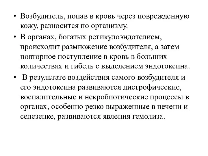 Возбудитель, попав в кровь через поврежденную кожу, разносится по организму. В