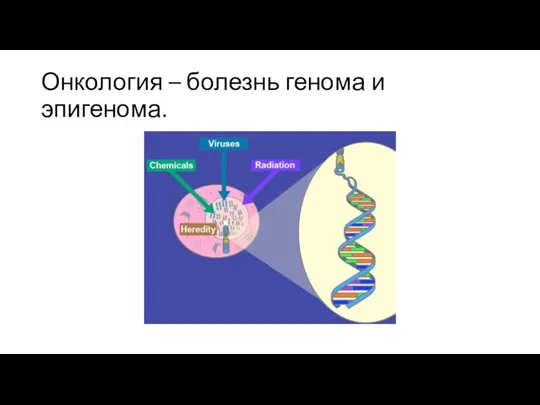 Онкология – болезнь генома и эпигенома.