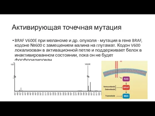 Активирующая точечная мутация BRAF V600E при меланоме и др. опухоля -