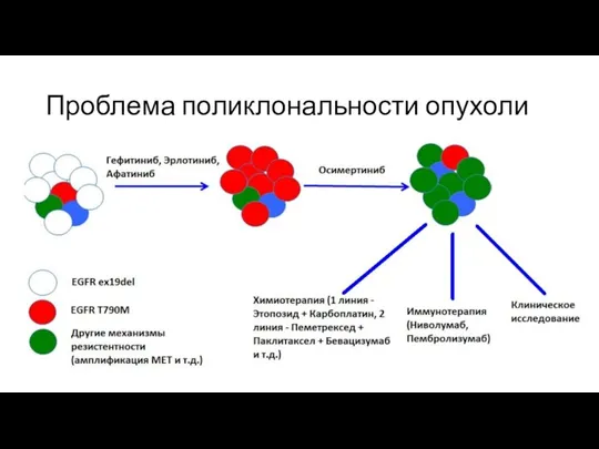 Проблема поликлональности опухоли Преимущественно моноклональные опухоли – семинома, лимфома Ходжкина