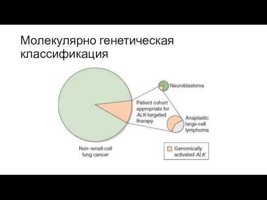 Молекулярно генетическая классификация