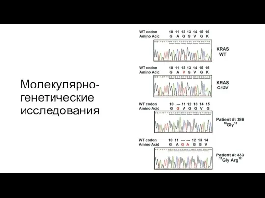 Молекулярно-генетические исследования