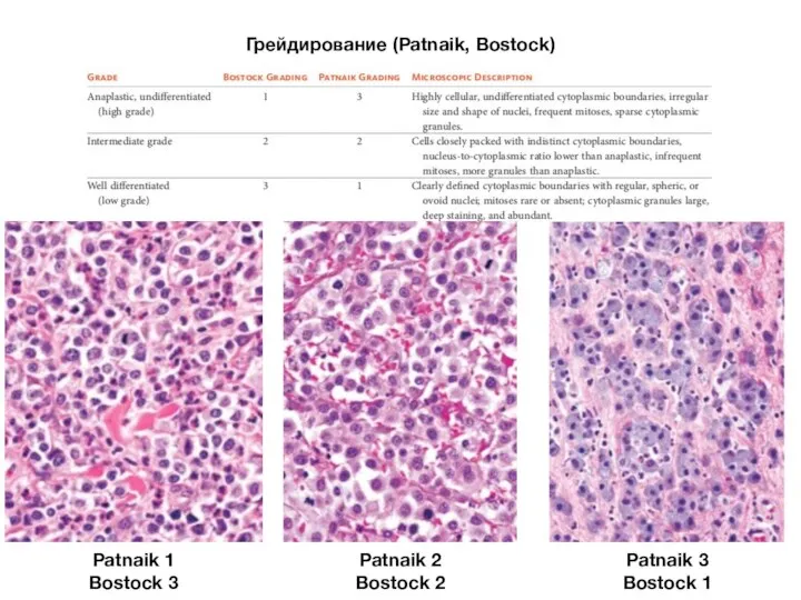 Грейдирование (Patnaik, Bostock) Patnaik 1 Bostock 3 Patnaik 2 Bostock 2 Patnaik 3 Bostock 1