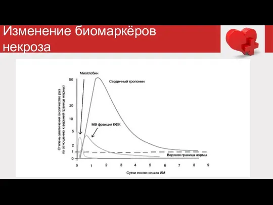 Изменение биомаркёров некроза