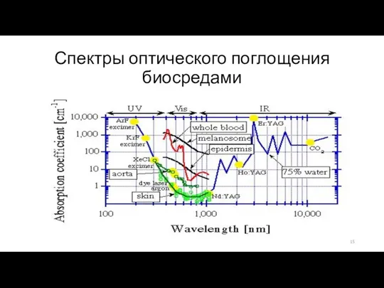 Спектры оптического поглощения биосредами