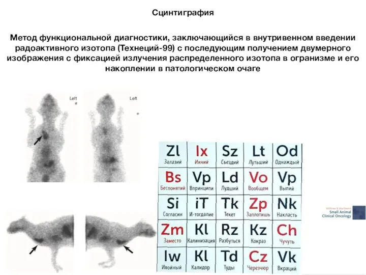 Сцинтиграфия Метод функциональной диагностики, заключающийся в внутривенном введении радоактивного изотопа (Технеций-99)