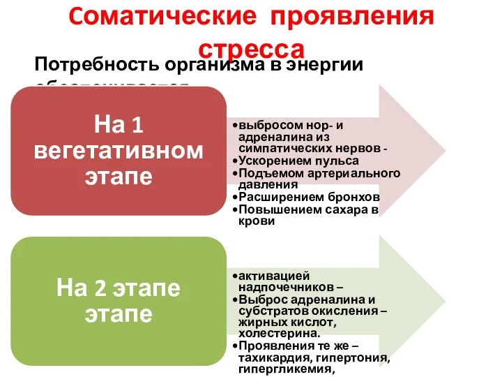 Cоматические проявления стресса Потребность организма в энергии обеспечивается На 1 вегетативном