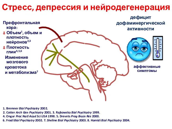 Стресс, депрессия и нейродегенерация дефицит дофаминергической активности Префронтальная кора: Объем1, объем