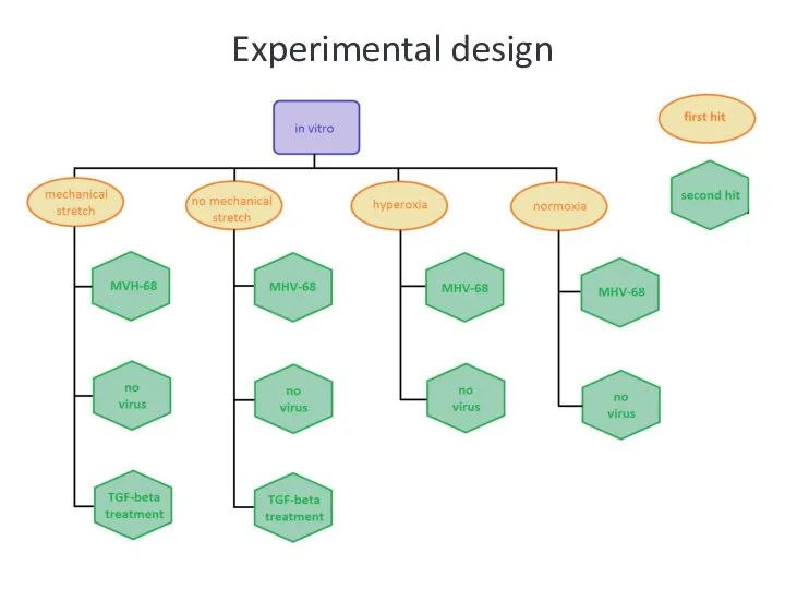 Experimental design