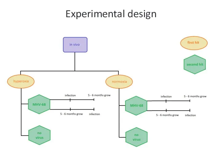 Experimental design