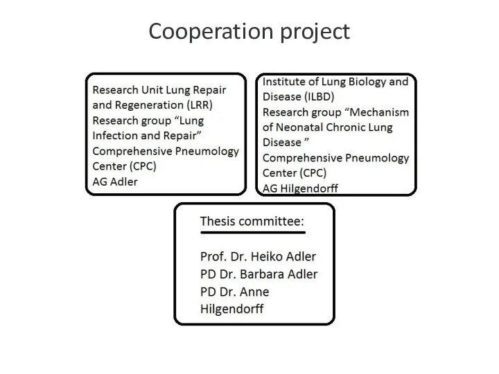 Cooperation project