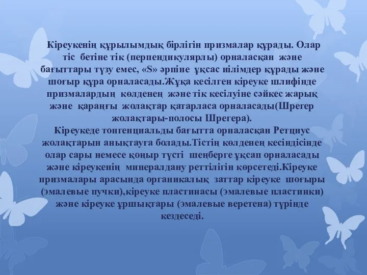 Кіреукенің құрылымдық бірлігін призмалар құрады. Олар тіс бетіне тік (перпендикулярлы) орналасқан