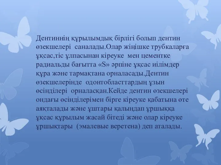 Дентиннің құрылымдық бірлігі болып дентин өзекшелері саналады.Олар жіңішке трубкаларға ұқсас,тіс ұлпасынан