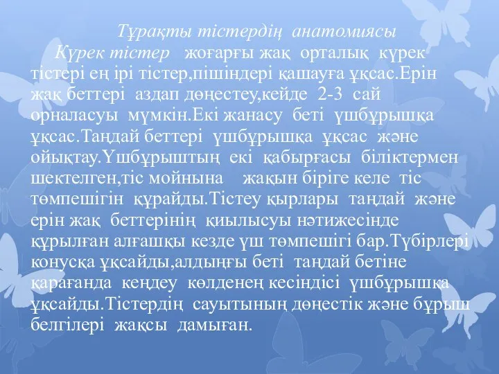 Тұрақты тістердің анатомиясы Күрек тістер жоғарғы жақ орталық күрек тістері ең