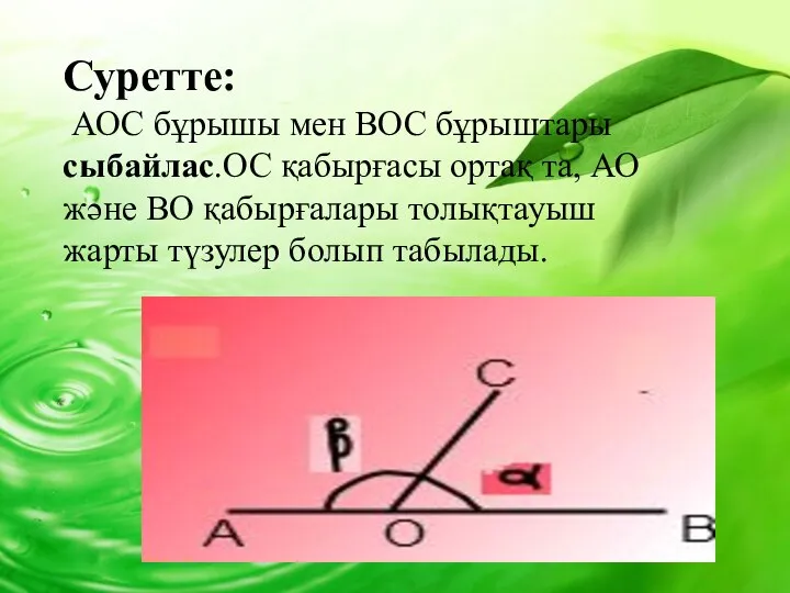 Суретте: АОС бұрышы мен ВОС бұрыштары сыбайлас.ОС қабырғасы ортақ та, АО