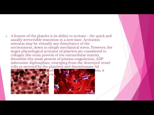 A feature of the platelet is its ability to activate -