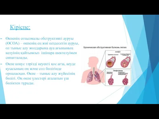 Кіріспе: Өкпенің созылмалы обструктивті ауруы (ӨСОА) – өкпенің ең жиі кездесетін