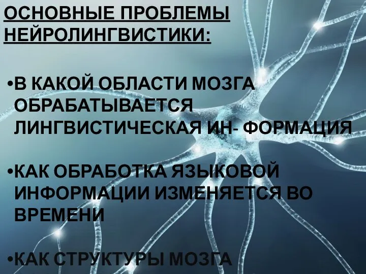 ОСНОВНЫЕ ПРОБЛЕМЫ НЕЙРОЛИНГВИСТИКИ: В КАКОЙ ОБЛАСТИ МОЗГА ОБРАБАТЫВАЕТСЯ ЛИНГВИСТИЧЕСКАЯ ИН- ФОРМАЦИЯ