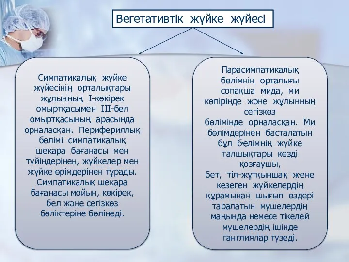 Вегетативтік жүйке жүйесі Парасимпатикалық бөлімнің орталығы сопақша мида, ми көпірінде және