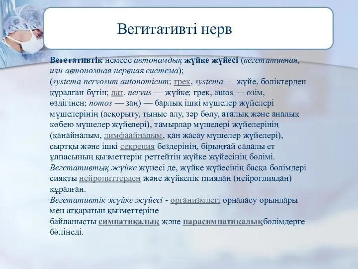 Вегетативтік немесе автономдық жүйке жүйесі (вегетативная, или автономная нервная система); (systema