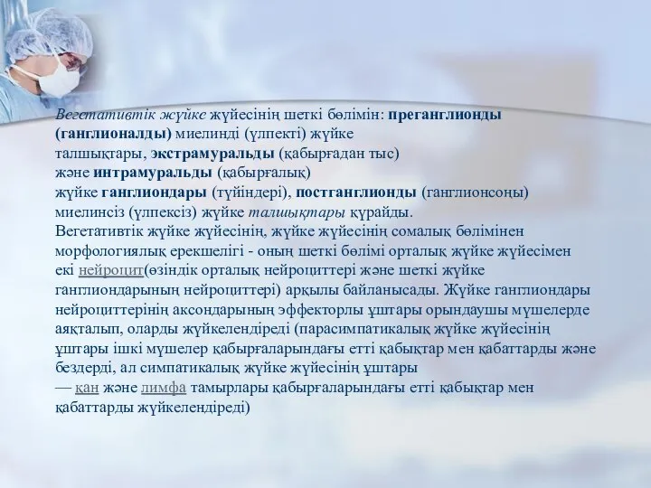 Вегетативтік жүйке жүйесінің шеткі бөлімін: преганглионды (ганглионалды) миелинді (үлпекті) жүйке талшықтары,