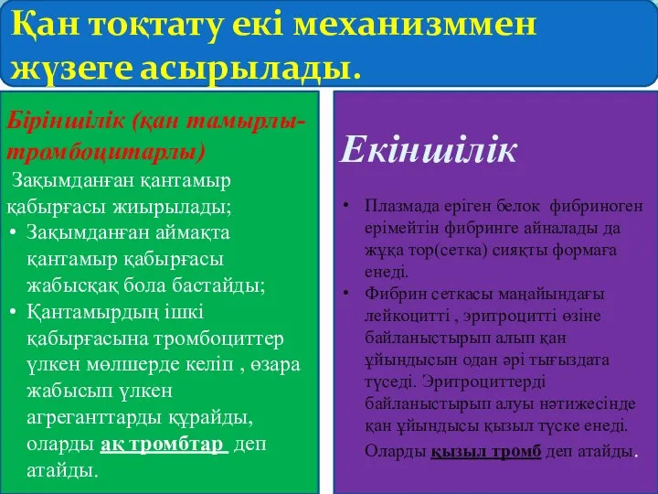 Қан тоқтату екі механизммен жүзеге асырылады. Біріншілік (қан тамырлы-тромбоцитарлы) Зақымданған қантамыр