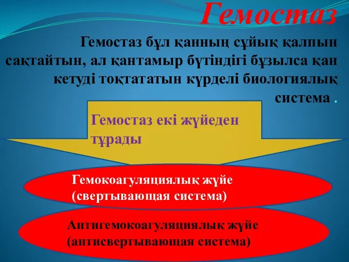 Гемостаз Гемостаз бұл қанның сұйық қалпын сақтайтын, ал қантамыр бүтіндігі бұзылса