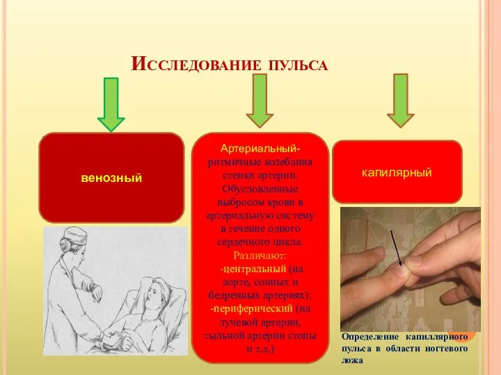 Исследование пульса венозный Артериальный- ритмичные колебания стенки артерии. Обусловленные выбросом крови