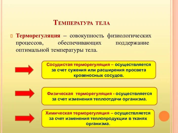 Температура тела Терморегуляция – совокупность физиологических процессов, обеспечивающих поддержание оптимальной температуры