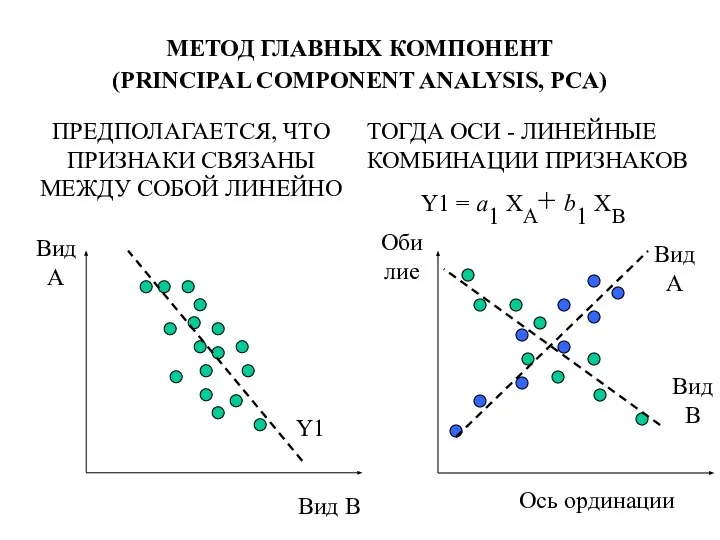 МЕТОД ГЛАВНЫХ КОМПОНЕНТ (PRINCIPAL COMPONENT ANALYSIS, PCA)