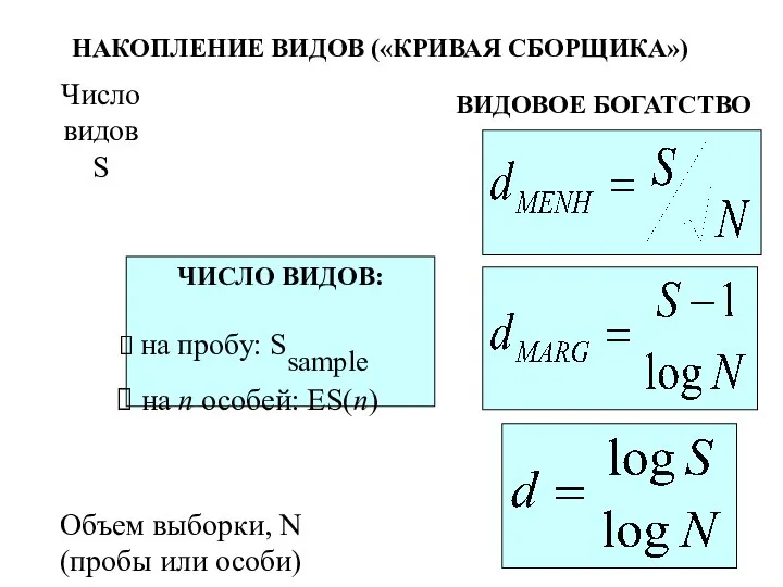 НАКОПЛЕНИЕ ВИДОВ («КРИВАЯ СБОРЩИКА») ВИДОВОЕ БОГАТСТВО ЧИСЛО ВИДОВ: на пробу: Ssample на n особей: ES(n)