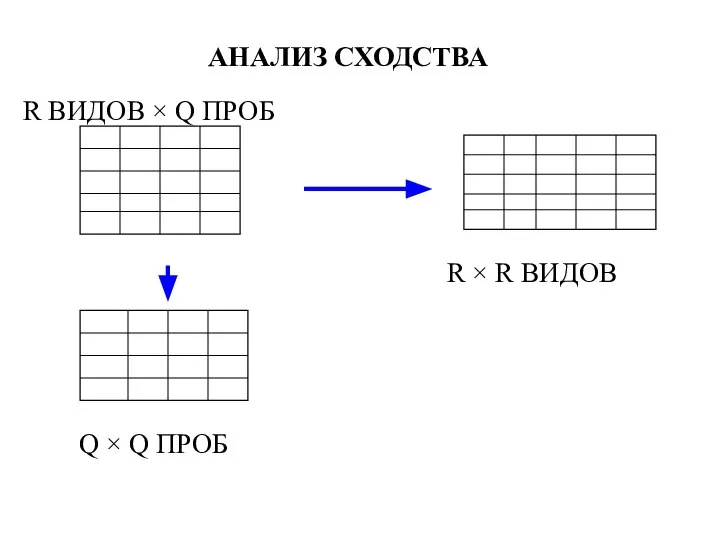 АНАЛИЗ СХОДСТВА