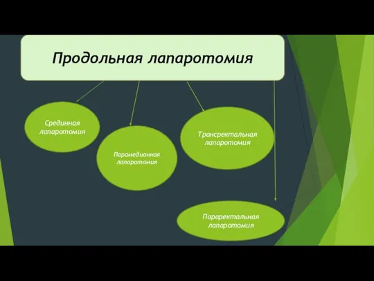 Продольная лапаротомия Срединная лапаротомия Парамедианная лапаротомия Трансректальная лапаротомия Параректальная лапаротомия