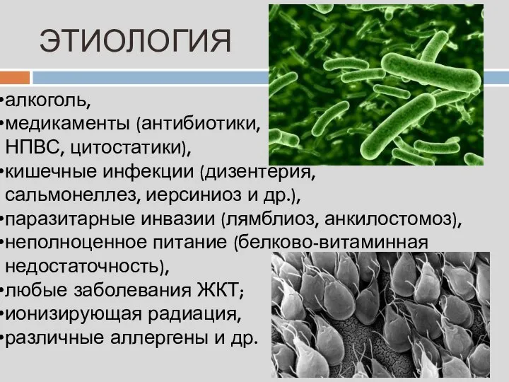 ЭТИОЛОГИЯ алкоголь, медикаменты (антибиотики, НПВС, цитостатики), кишечные инфекции (дизентерия, сальмонеллез, иерсиниоз