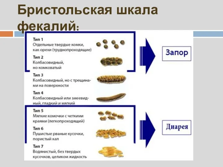 Бристольская шкала фекалий: