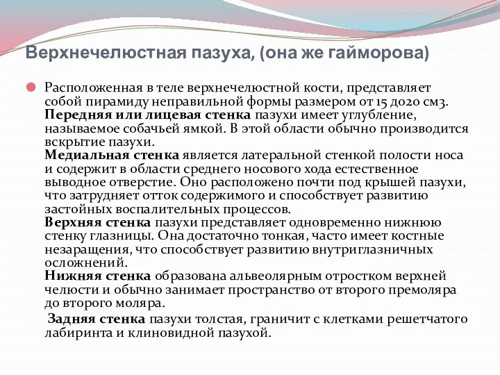 Верхнечелюстная пазуха, (она же гайморова) Расположенная в теле верхнечелюстной кости, представляет