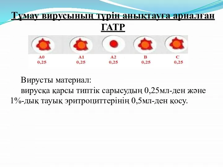 Тұмау вирусының түрін анықтауға арналған ГАТР Вирусты материал: вирусқа қарсы типтік