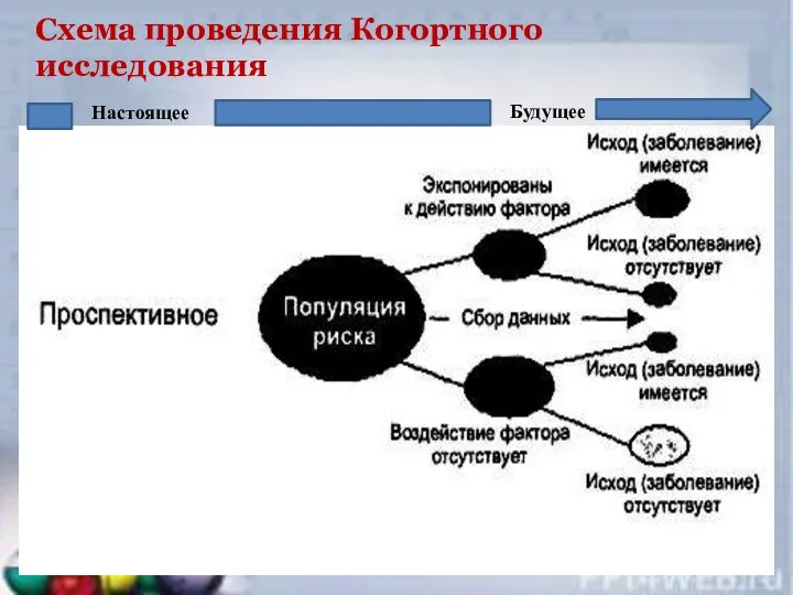 Схема проведения Когортного исследования Настоящее Будущее