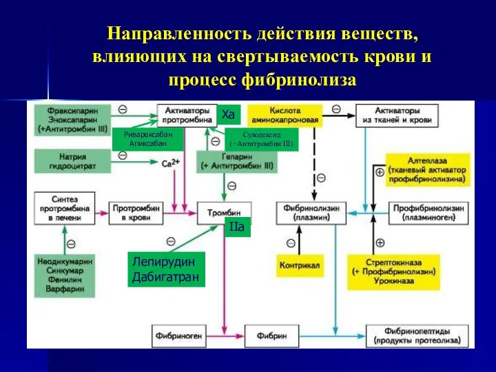 Направленность действия веществ, влияющих на свертываемость крови и процесс фибринолиза Лепирудин