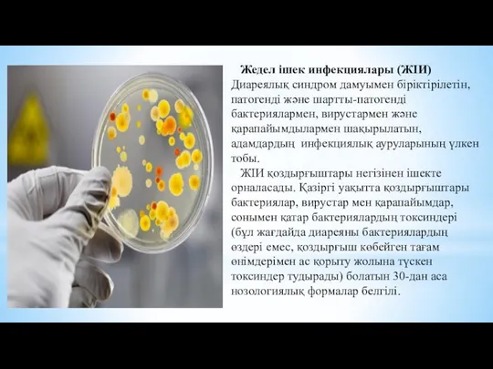 Жедел ішек инфекциялары (ЖІИ) Диареялық синдром дамуымен біріктірілетін, патогенді және шартты-патогенді