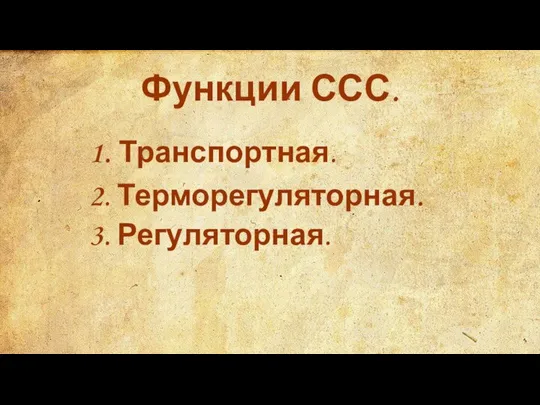 Функции ССС. 1. Транспортная. 2. Терморегуляторная. 3. Регуляторная.