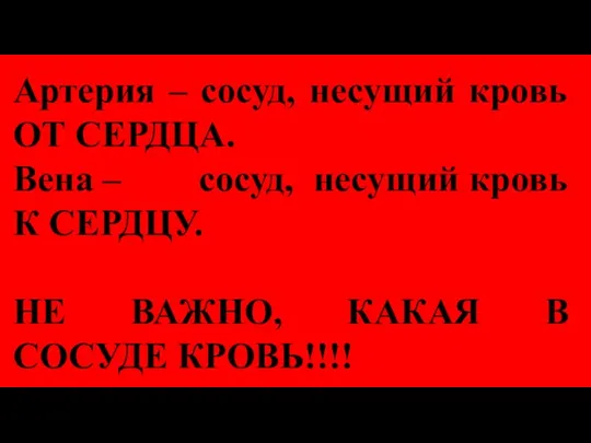 Артерия – сосуд, несущий кровь ОТ СЕРДЦА. Вена – сосуд, несущий