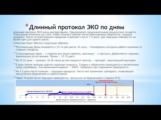 Длинный протокол ЭКО по дням Длинный протокол ЭКО очень распространен. Предполагает