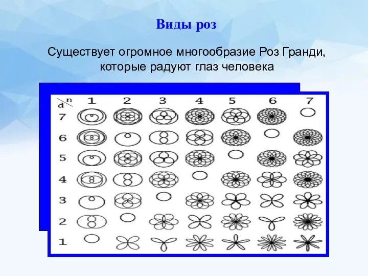 Виды роз Существует огромное многообразие Роз Гранди, которые радуют глаз человека